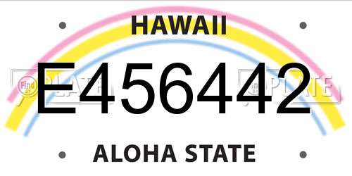 E456442 Hawaii License Plate