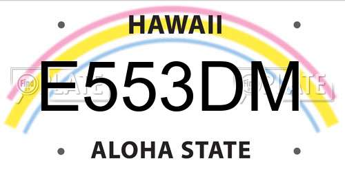 E553DM Hawaii License Plate
