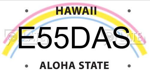 E55DAS Hawaii License Plate