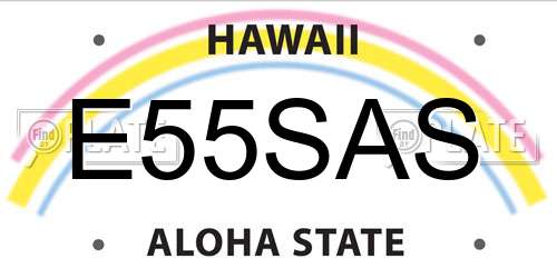 E55SAS Hawaii License Plate
