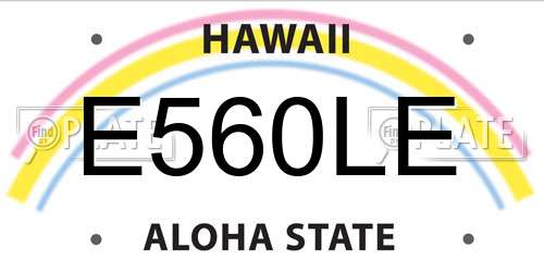 E560LE Hawaii License Plate