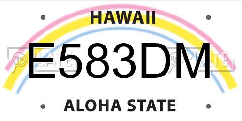 E583DM Hawaii License Plate