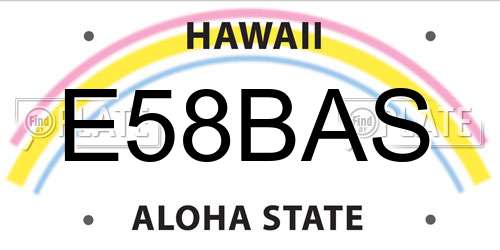 E58BAS Hawaii License Plate