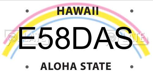 E58DAS Hawaii License Plate