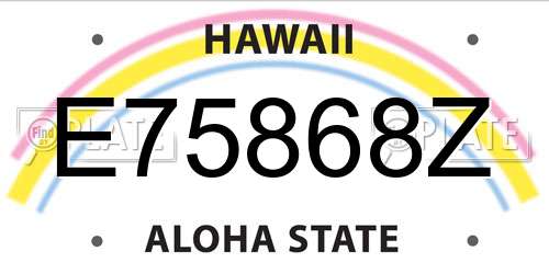 E75868Z Hawaii License Plate