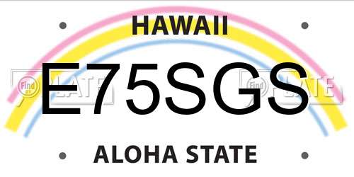 E75SGS Hawaii License Plate