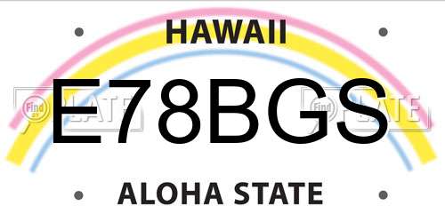 E78BGS Hawaii License Plate