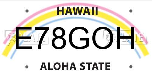 E78GOH Hawaii License Plate