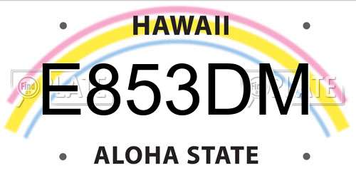 E853DM Hawaii License Plate