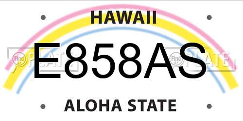 E858AS Hawaii License Plate