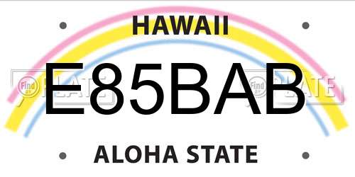 E85BAB Hawaii License Plate