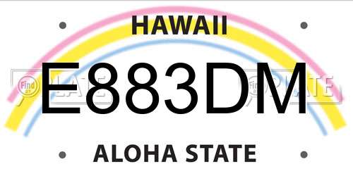 E883DM Hawaii License Plate