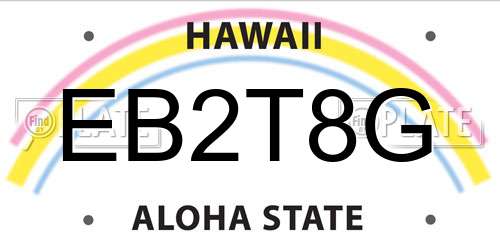 EB2T8G Hawaii License Plate