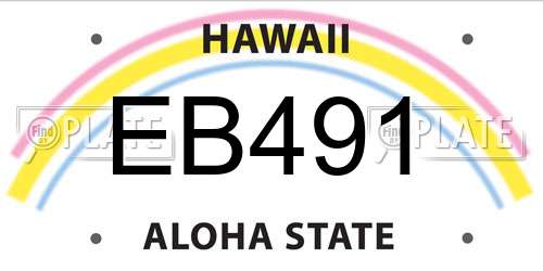 EB491 Hawaii License Plate