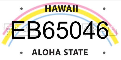 EB65046 Hawaii License Plate