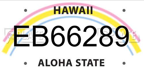 EB66289 Hawaii License Plate