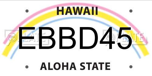 EBBD45 Hawaii License Plate