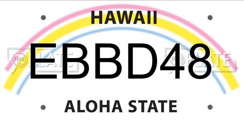 EBBD48 Hawaii License Plate