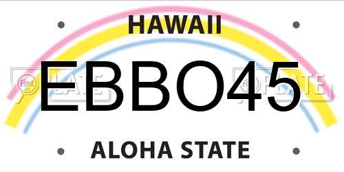 EBBO45 Hawaii License Plate