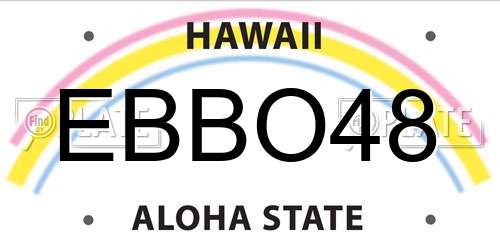 EBBO48 Hawaii License Plate