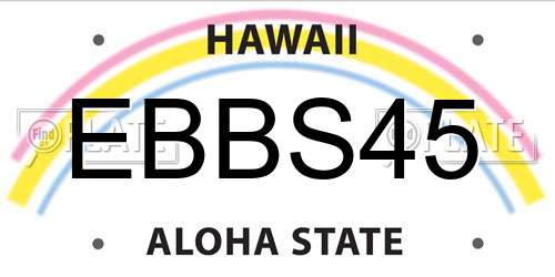 EBBS45 Hawaii License Plate