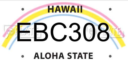EBC308 Hawaii License Plate