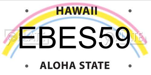EBES59 Hawaii License Plate