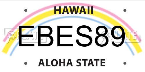 EBES89 Hawaii License Plate