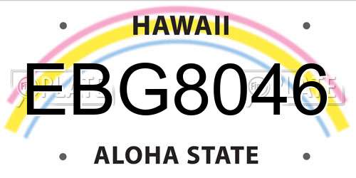 EBG8046 Hawaii License Plate