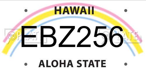 EBZ256 Hawaii License Plate
