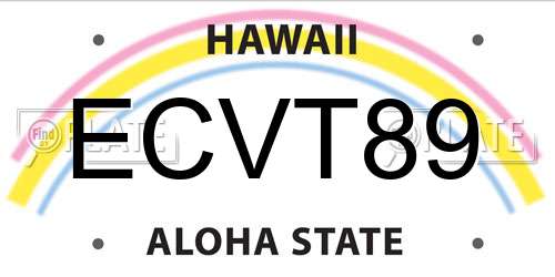ECVT89 Hawaii License Plate