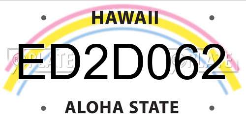 ED2D062 Hawaii License Plate