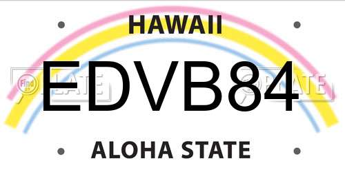 EDVB84 Hawaii License Plate