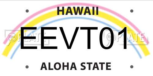 EEVT01 Hawaii License Plate