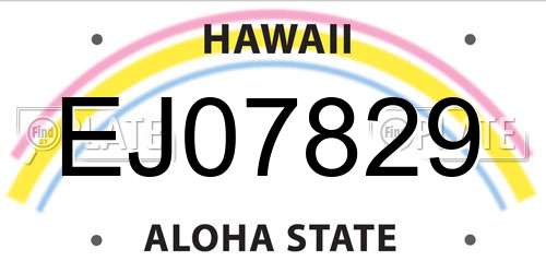 EJ07829 Hawaii License Plate
