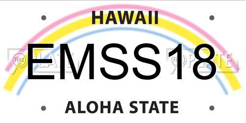 EMSS18 Hawaii License Plate