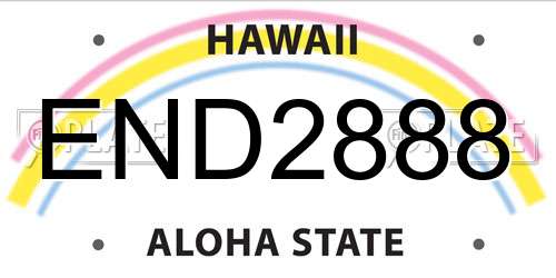 END2888 Hawaii License Plate