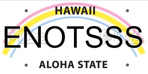 ENOTSSS Hawaii License Plate