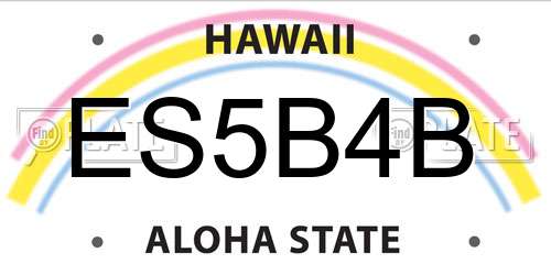 ES5B4B Hawaii License Plate