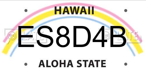ES8D4B Hawaii License Plate