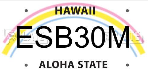 ESB30M Hawaii License Plate