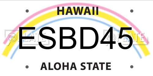 ESBD45 Hawaii License Plate