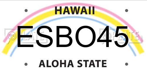 ESBO45 Hawaii License Plate