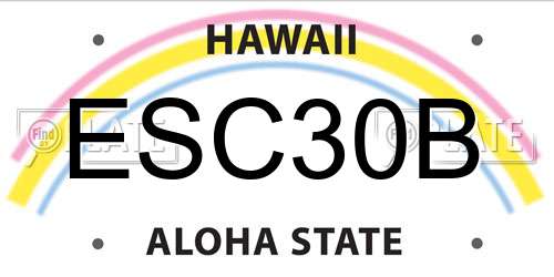 ESC30B Hawaii License Plate