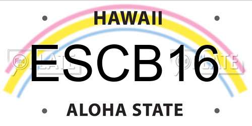 ESCB16 Hawaii License Plate