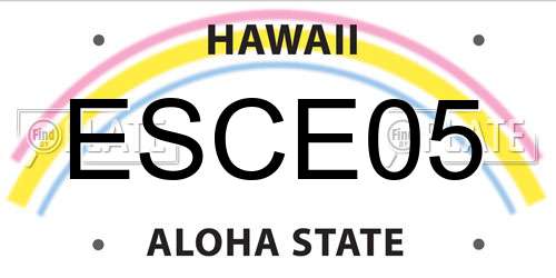 ESCE05 Hawaii License Plate