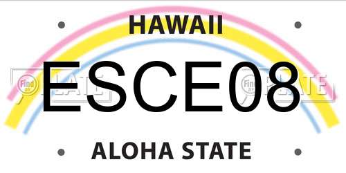 ESCE08 Hawaii License Plate