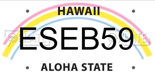 ESEB59 Hawaii License Plate