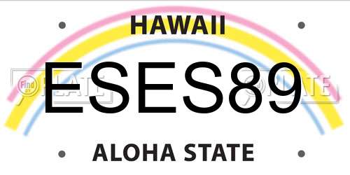 ESES89 Hawaii License Plate