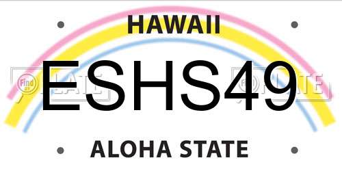 ESHS49 Hawaii License Plate